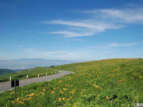 【名古屋発】■2026年6月17日(水)■(相部屋)釜無ホテイアツモリソウ咲く「入笠山」と初夏の「八島湿原・霧ヶ峰」 1泊2日 ♪名鉄の泊りハイキング1